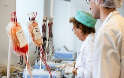 France’s Social Security Crisis Blamed on Health Fund