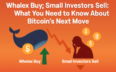 Whales Buy, Small Investors Sell: What You Need to Know About Bitcoin’s Next Move?